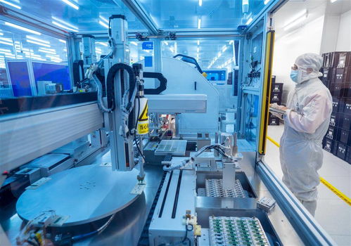光谷高端光電子產品節前加緊出貨，機械科技賦能高效生產